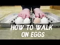 Download Lagu HOW TO WALK ON EGGS WITHOUT BREAKING THEM