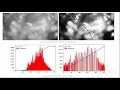 Img Enhancement technique Histogram equalization clahe