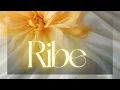 Download Lagu RIBE 💫 Ko veruje – taj i dobija – ŽELJA ISPUNJENA!!🔮 TAROT ČITANJE