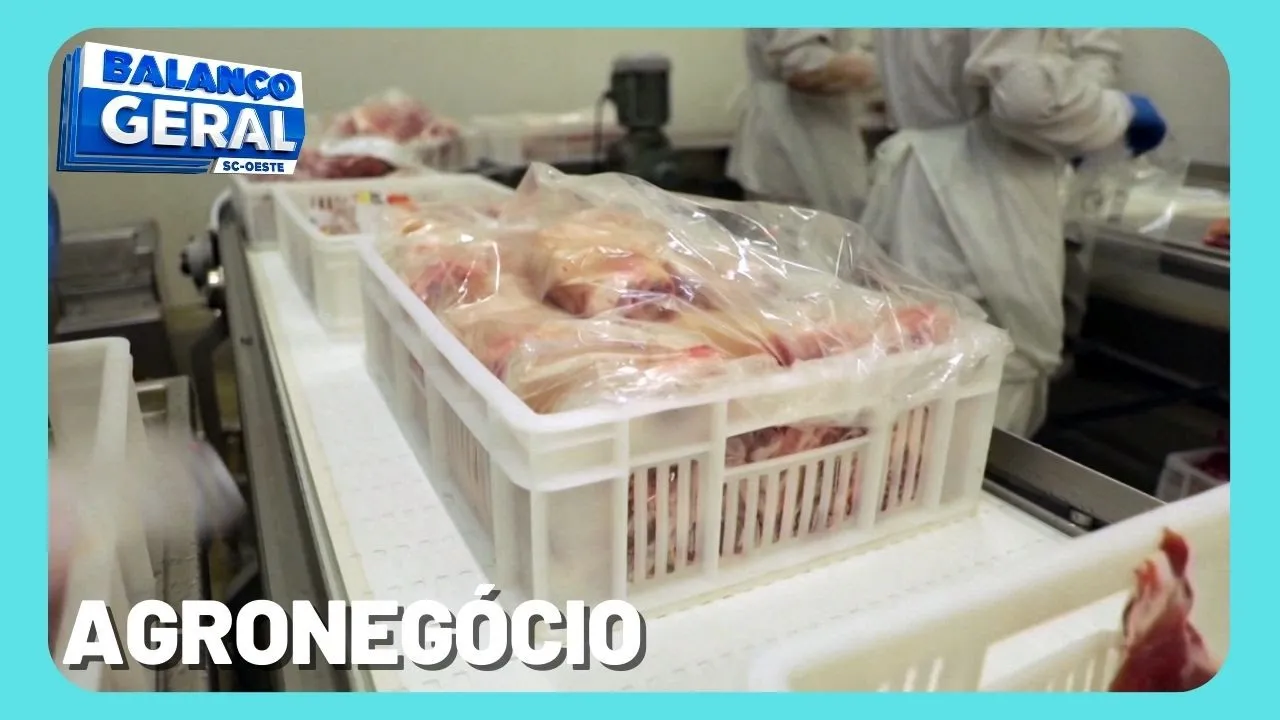 Exportações de carne suína superam 100 mil toneladas em dezembro de 2022