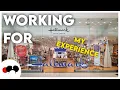 Amys Hallmark my employment experience