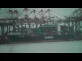 Timelapse Maher Terminal Evergreen s Ever Lotus
