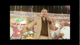 اغنيه مرجحينا   حماده الليثى        دندنها