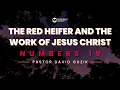 The Red Heifer and The Work of Jesus Christ - Numbers 19