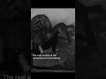 Download Lagu the real spinosaurus sounds even scarier #prehistoric #spinosaurus #shorts