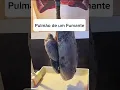 Download Lagu Veja o que o cigarro faz com o Pulmão #anatomia #pulmão #medicina