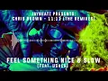 02 Chris Brown - Feel Something Nice & Slow (feat. Usher)