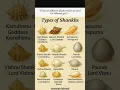 Download Lagu Types of Shankh in Hinduism 🐚 | Divine Shankhs for Gods \u0026 Goddess #Spiritual #Hinduism