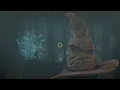 Hogwarts Legacy Hufflepuff sorting hat