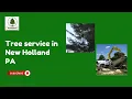 Tree service in New Holland PA