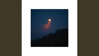 You Ll Never Walk Alone 