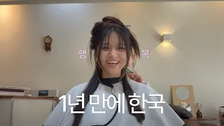 영국에서 1년 만에 온 한국🇰🇷 | 서울 관리 브이로그🫧 | 오자마자 미용실 직행 | 서울이 이렇게나 좋은 곳이었나..♥️