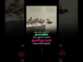 Download Lagu ‎⁨@Pasakara_Appa⁩  ## thathuvam 220##melody## hits## sad
