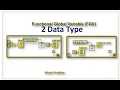 Functional Global Variable FGV 2 data type