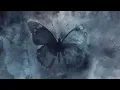 The Butterfly - Andrea Vanzo