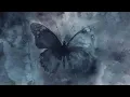 Download Lagu Andrea Vanzo - The Butterfly (Official Visualizer)