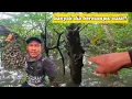 Lagu BANYAK BERKUMPUL NAIK⁉️CARI SIPUT AIR PASANG PAGI..