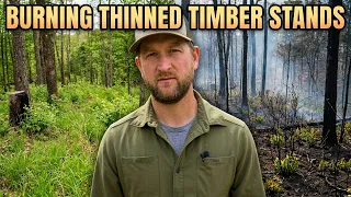 What Happens When You Burn Thinned Timber Stands