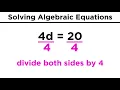 Algebraic Equations and Their Solutions