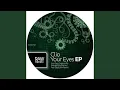 Download Lagu Your Eyes (Original Mix)
