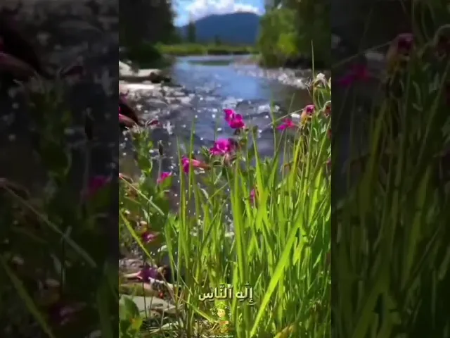 ⁣سورة الناس || القارئ حيدر محسن البزوني