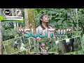 Download Lagu SULIT !! Budi Pancur/Lagu gokil (samih barenyah)