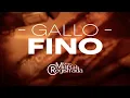 Lagu Grupo Marca Registrada - Gallo Fino - Lyric Video
