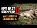 Red Dead Redemption 2 Master Hunter Challenge Guide - Kill 5 Cougars with your Bow
