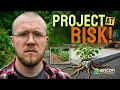 The Invasive Plant Problem Developers Don t See Coming