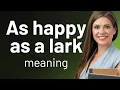 Exploring Idioms As Happy As A Lark