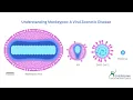 Monkeypox A Global Concern in the Spotlight I EVERBLINK