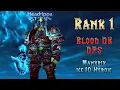 Shadowmourne Blood DPS DK - ICC 10 Bosses