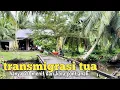 Download Lagu Suasana syahdu selepas hujan di kampung transmigrasi kalimantan