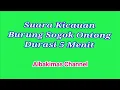 Suara Burung Sogok Ontong Durasi 5 Menit (Audio Official)