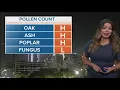 DFW weather Monday s allergy outlook and pollen count