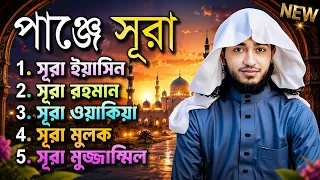 Panj Surah Full | পাঞ্জে সুরা | Qari Abu Rayhan | Surah Yasin, Rahman, Waqiah, Mulk, Muzzammil