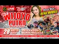 Download Lagu Live New Wijoyo Putro Kwajon Baron  Ft SHF Audio Pro