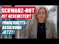 Lagu Beatrix von Storch: The black-red coalition has failed. A minority government now!