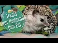 Hedgehog Diet Treats Dangerous Foods
