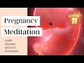 Pregnancy Week by Week 11 Meditation and Connection