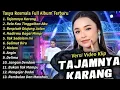 Download Lagu Tasya Rosmala Full Album || Tajamnya Karang, Tasya Rosmala Henny Adella Full Album Terbaru 2024