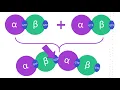 Dynamic Instability of Microtubules
