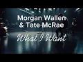 Download Lagu Morgan Wallen \u0026 Tate McRae - What I Want [Unofficial Music Video]