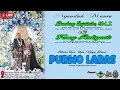 Download Lagu 🔴Live Stream Karawitan PURWO LARAS - Ngunduh Mantu \
