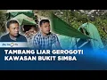 Lagu Nasib Bukit Simba Yang Tak Henti Digrogoti Tambang #REALITAS