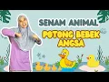 Download Lagu SENAM POTONG BEBEK ANGSA untuk PAUD \u0026 SD |Mudah Ditiru Anak