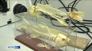 Омские студенты создали объёмную модель позвоночника, распечатанную на 3D-принтере