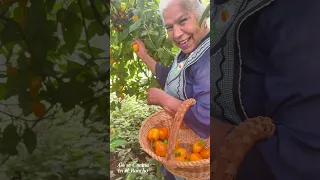 🌶️🧺 ¡Hasta Con Copete Llené la Canasta! ¡Gracias a Dios Bendito, Nos Dio Muchísimos Chiles! 🙏❤️