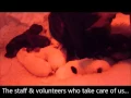 ISPCA Better Together 2016