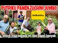 Download Lagu PANEN ZUCHINI JUMBO BERSAMA KE 4 ANAKKU ,MBAK ASTRID KAGET PERTAMA LIHAT BISA SEBESAR INI ‼️